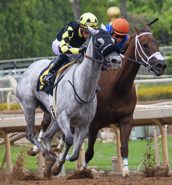 张帅与波帕 张帅与波帕